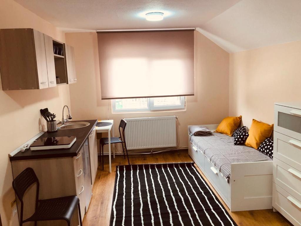 Modern Studio Apartment Oradea Bagian luar foto